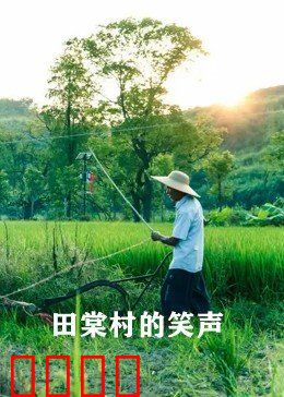 田棠村的笑声：笑声背后的秘密